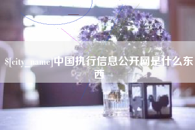 三明中国执行信息公开网是什么东西