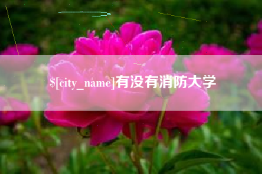 三明有没有消防大学
