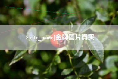 三明金牌图片真实