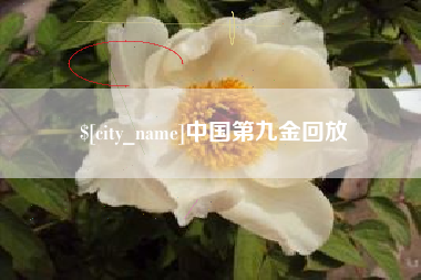 三明中国第九金回放
