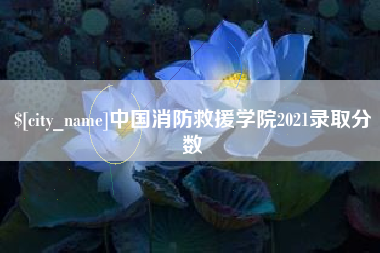 三明中国消防救援学院2021录取分数