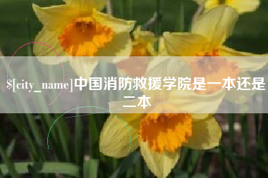 三明中国消防救援学院是一本还是二本