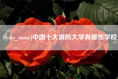 三明中国十大消防大学有哪些学校