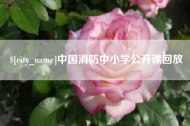三明中国消防中小学公开课回放