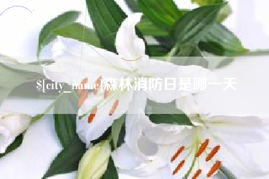 三明森林消防日是哪一天