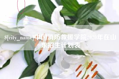 三明中国消防救援学院2020年在山东招生计划表