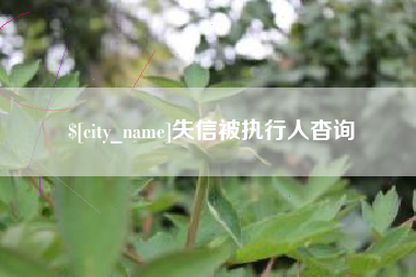 三明失信被执行人杳询