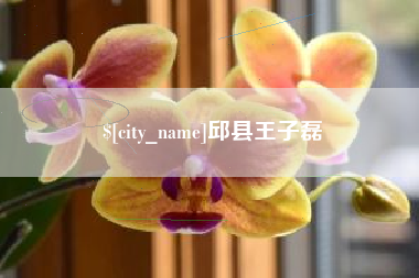 三明邱县王子磊