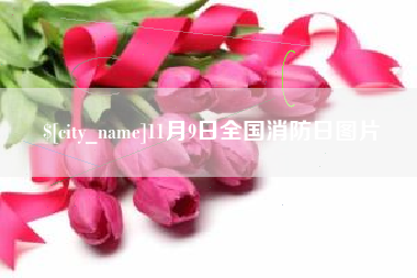 三明11月9日全国消防日图片