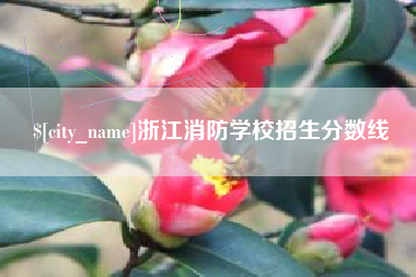 三明浙江消防学校招生分数线