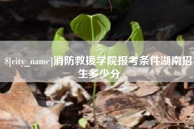 三明消防救援学院报考条件湖南招生多少分