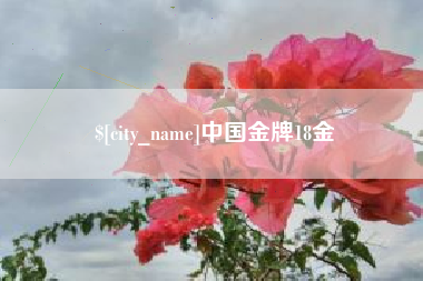 三明中国金牌18金