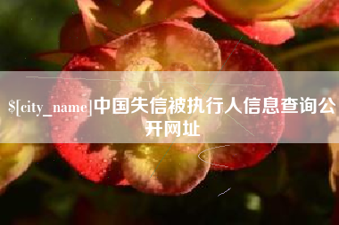 三明中国失信被执行人信息查询公开网址