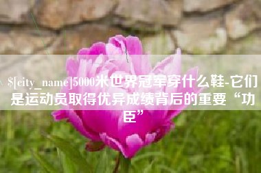 三明5000米世界冠军穿什么鞋-它们是运动员取得优异成绩背后的重要“功臣”