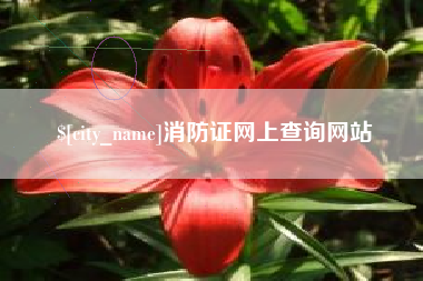 三明消防证网上查询网站