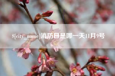 三明消防日是哪一天11月9号