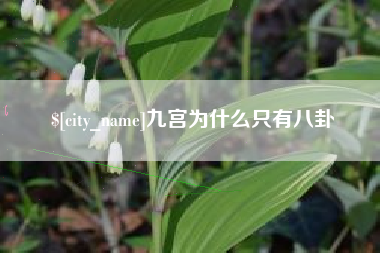 三明九宫为什么只有八卦