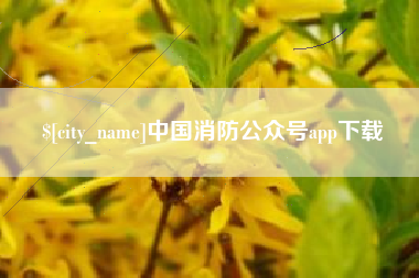 三明中国消防公众号app下载