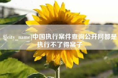 三明中国执行案件查询公开网都是执行不了得案子