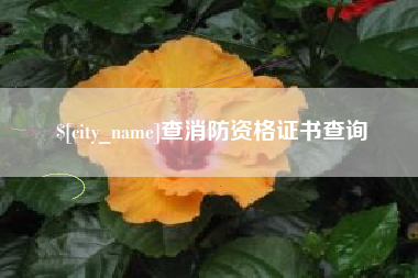 三明查消防资格证书查询