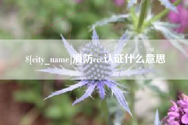 三明消防ccc认证什么意思