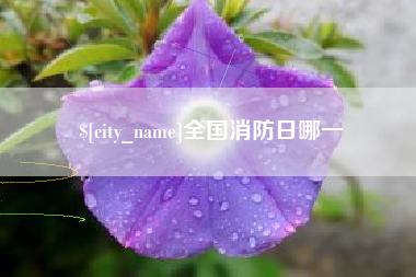 三明全国消防日哪一