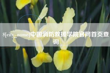 三明中国消防救援学院官网首页查询