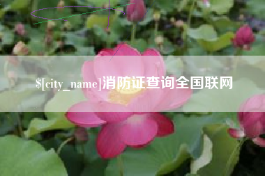 三明消防证查询全国联网