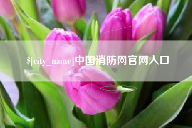 三明中国消防网官网入口