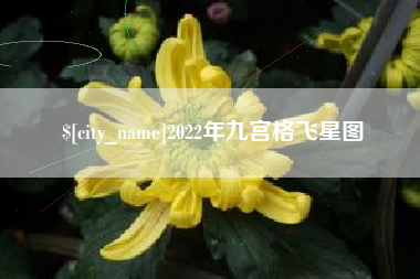 三明2022年九宫格飞星图