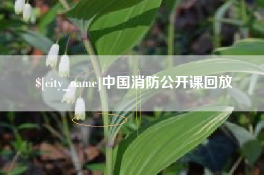 三明中国消防公开课回放
