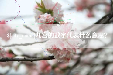 三明九宫的数字代表什么意思？