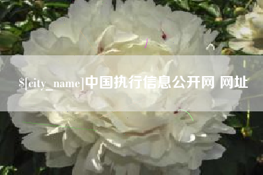 三明中国执行信息公开网 网址