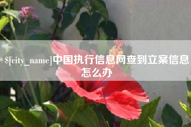 三明中国执行信息网查到立案信息怎么办