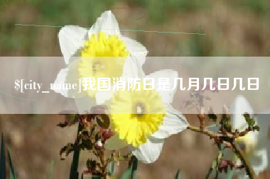 三明我国消防日是几月几日几日