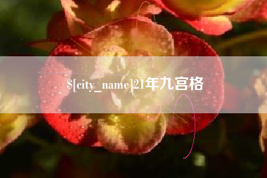三明21年九宫格