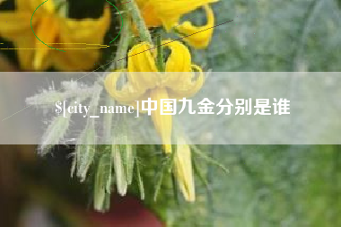 三明中国九金分别是谁