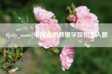 三明中国消防救援学院招生人数