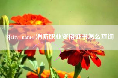 三明消防职业资格证书怎么查询