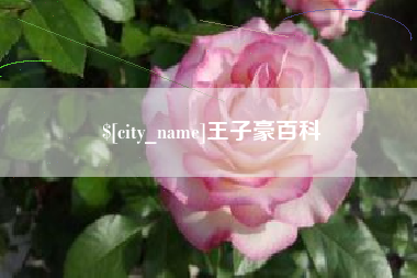 三明王子豪百科