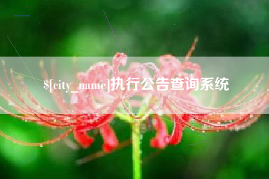 三明执行公告查询系统