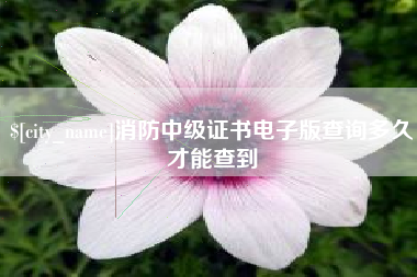 三明消防中级证书电子版查询多久才能查到