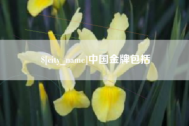 三明中国金牌包括
