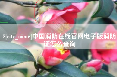 三明中国消防在线官网电子版消防证怎么查询