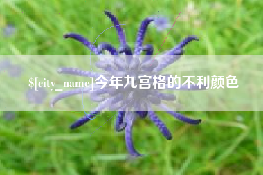 三明今年九宫格的不利颜色