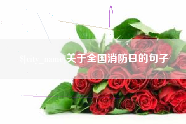 三明关于全国消防日的句子