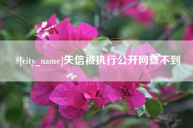 三明失信被执行公开网查不到