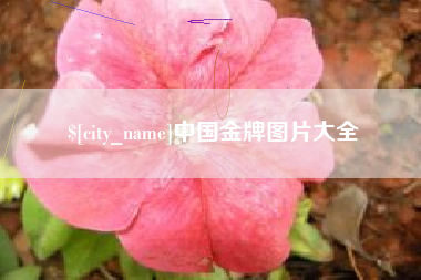三明中国金牌图片大全