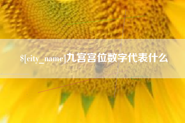 三明九宫宫位数字代表什么