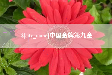 三明中国金牌第九金